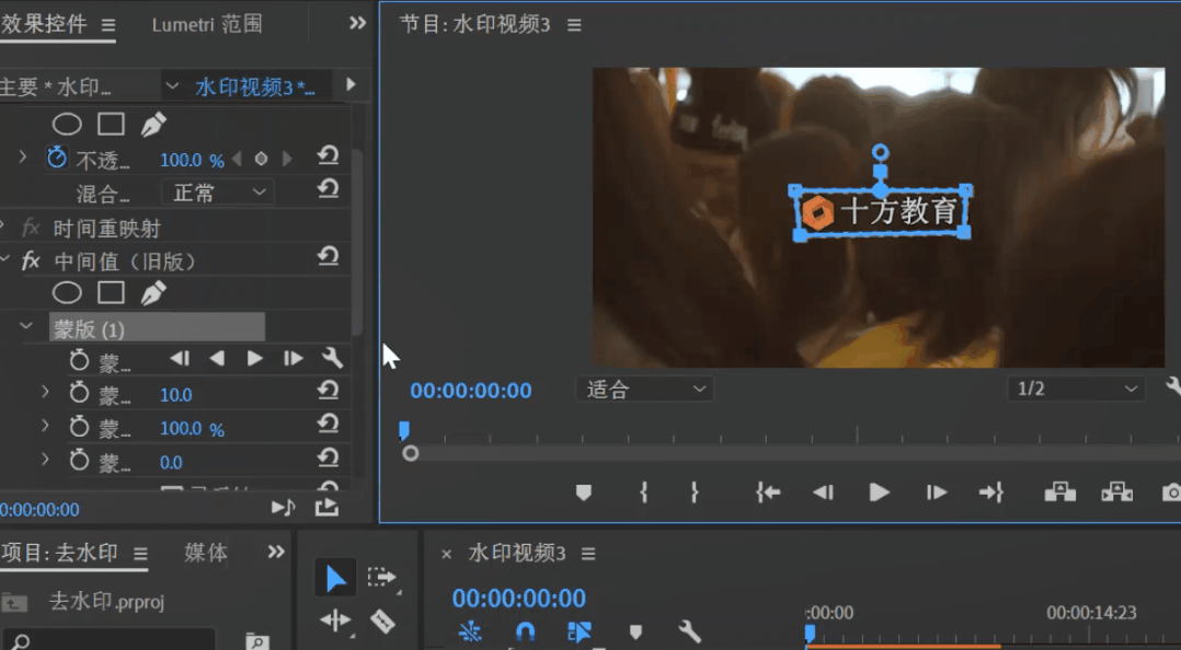 pr视频去水印教程缩略图