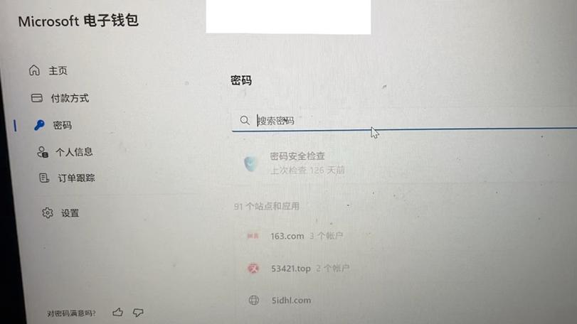 怎么看电脑软件里自动保存的密码