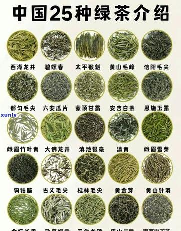 茶树最好的三个品种