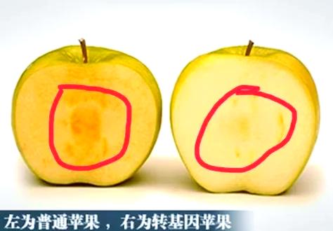 苹果储存大小和运行速度有关系吗