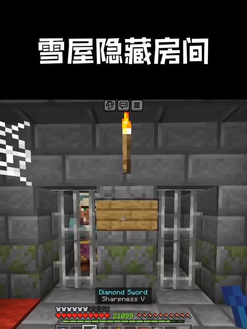 我的世界雪屋地下室在哪