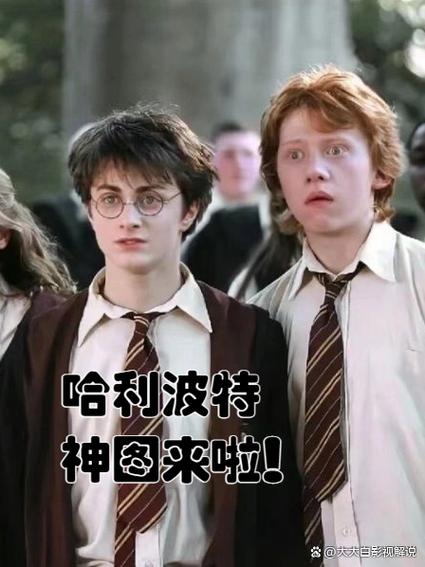 哈利波特封神图片