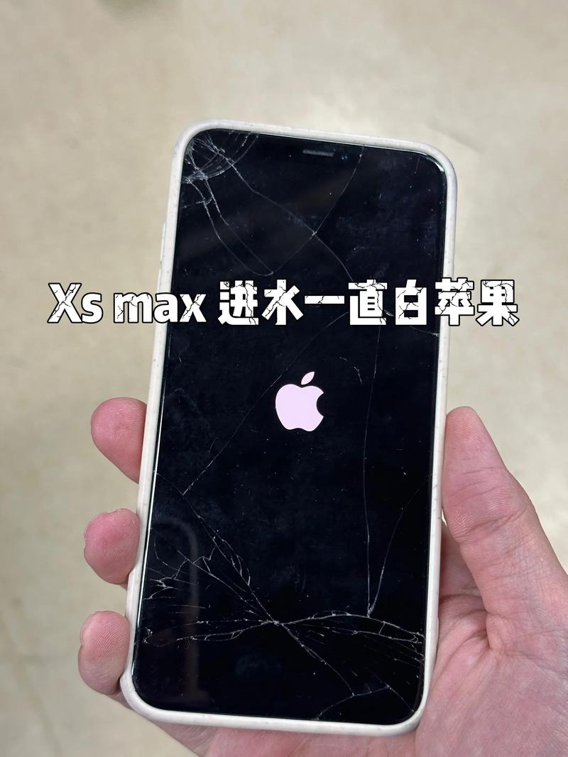 手机进水变白屏怎么办