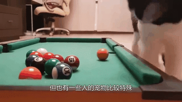 鹅鸭杀台球在哪