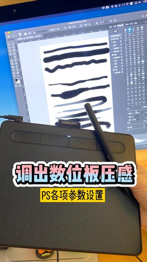 wacom手绘板没有压感