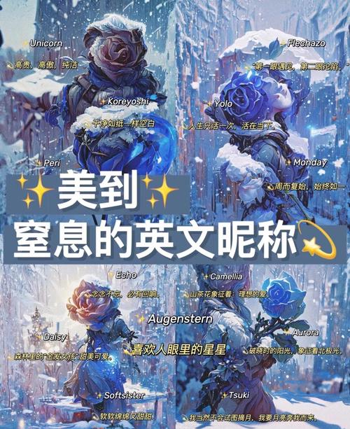 生活大冒险整合包英文名