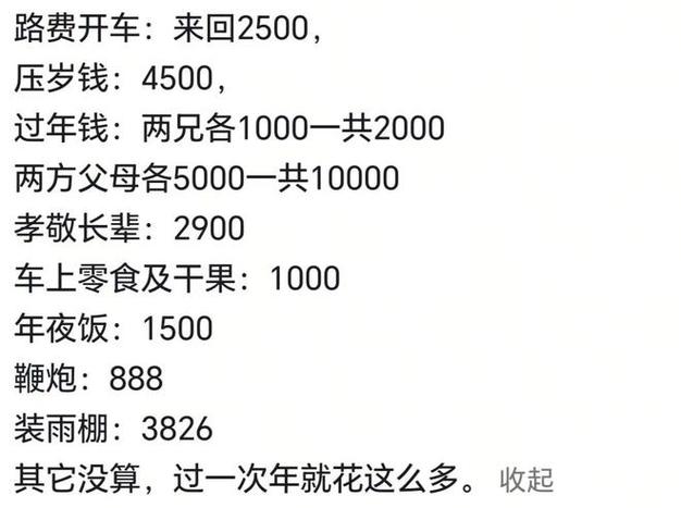 大家过年要花多少钱