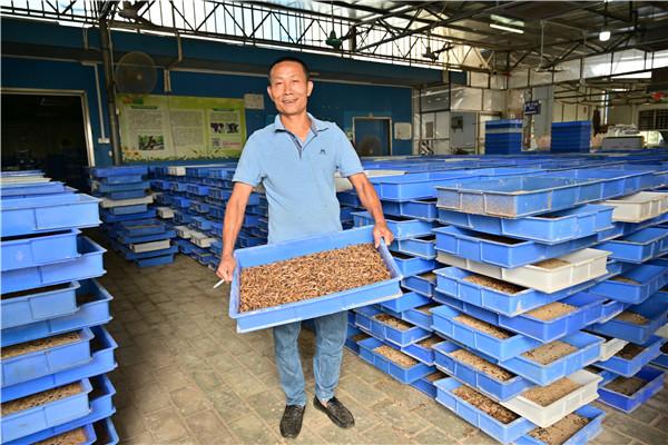 致富经一年赚100万