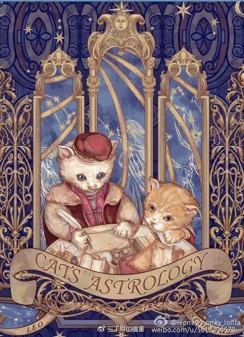 占星猫塔罗牌