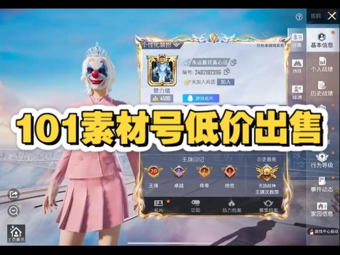 和平精英皮肤售卖平台