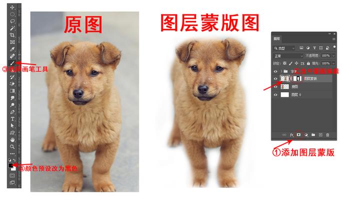 ps中的动作怎么用