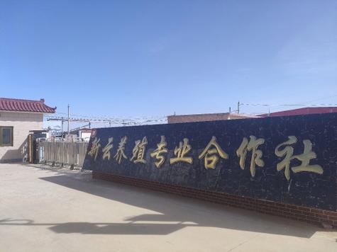 养牛场取名500个图标