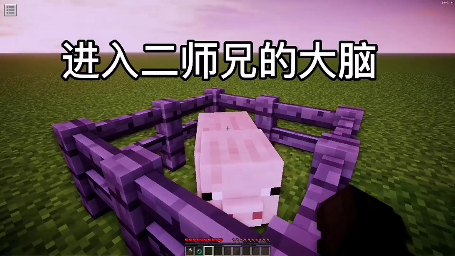 我的世界细狗变形记3
