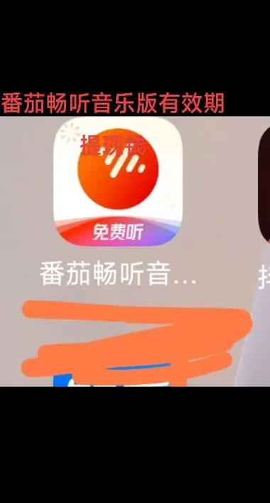 蕃茄畅听音乐版能赚钱吗