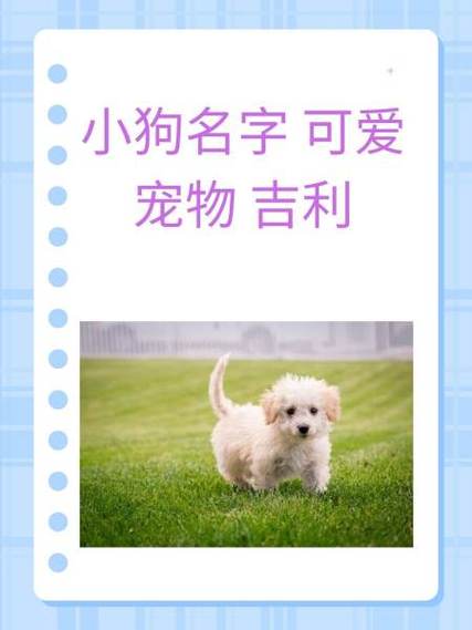 qq音乐的会员共享经典版游戏截图