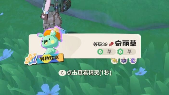 奇丽花异色