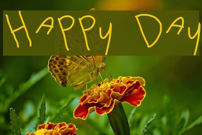 happyday是什么意思