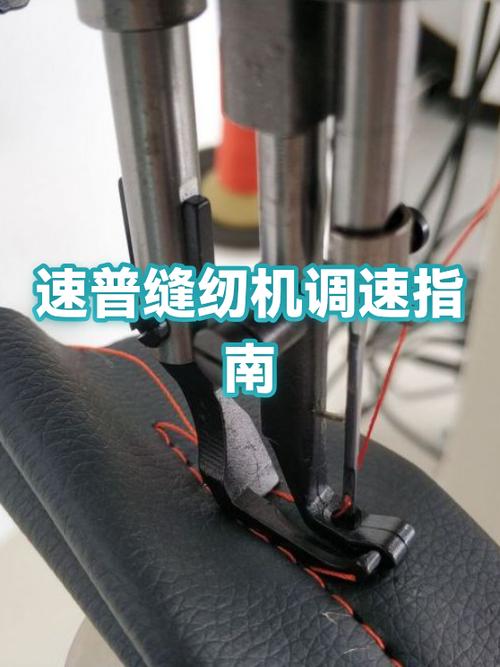 速普怎么锁住调速度