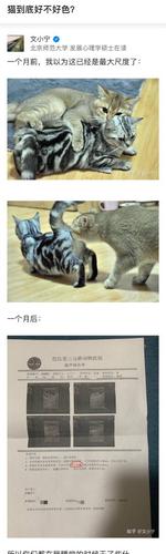 比心一个月能赚多少钱