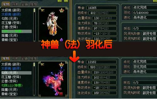 问道变异宠物可以升级到A吗