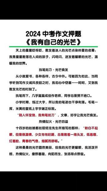 属于自己的光芒作文600字