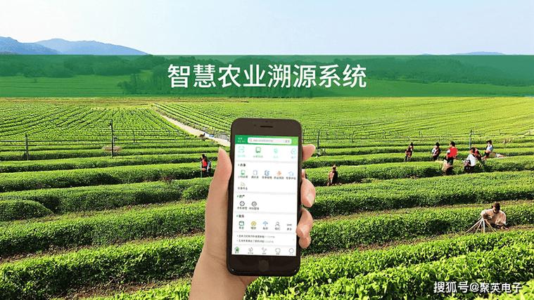 自然资源部app基本农田查询