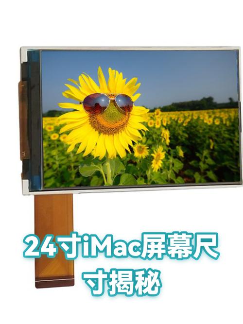 24寸电脑显示屏多大长宽cm