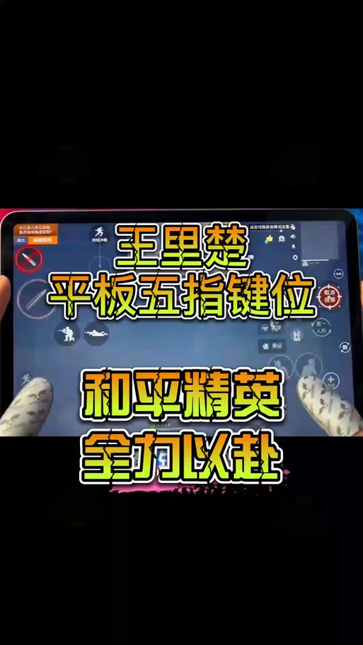 和平精英ipadmini5灵敏度