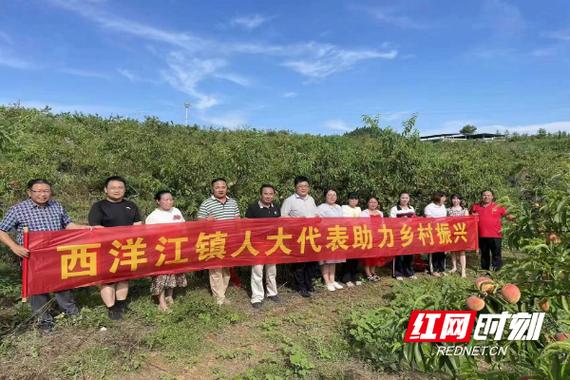 隆回新闻网98堂