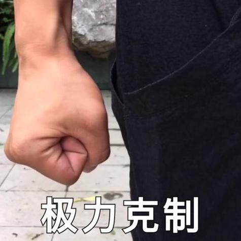 一只拳头收的表情包