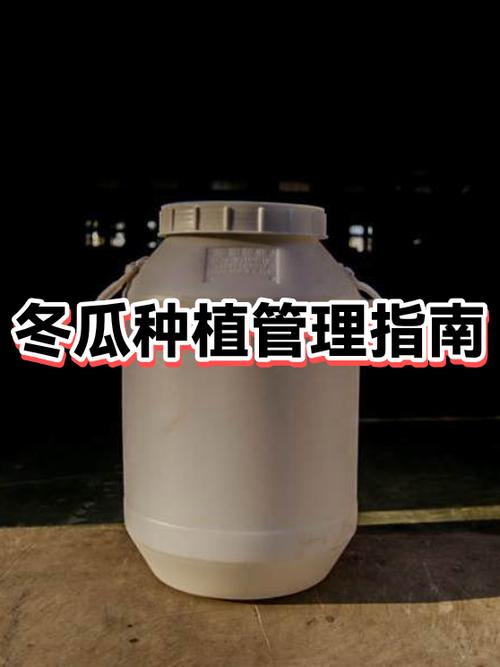 冬瓜种植技术与管理视频教程