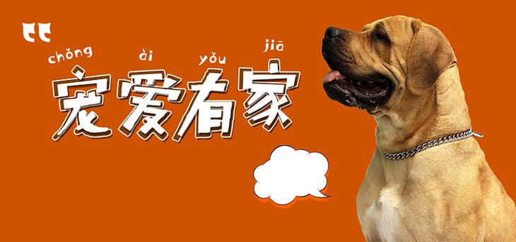养狗有补贴吗