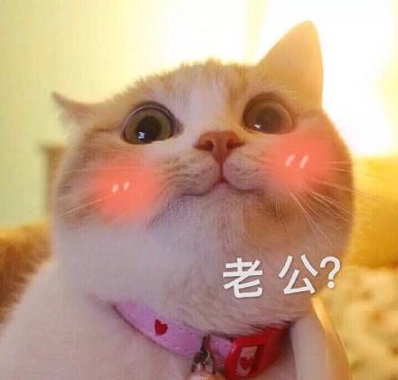 撒娇图片小可爱