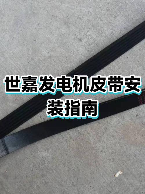 世嘉发电机皮带绕图
