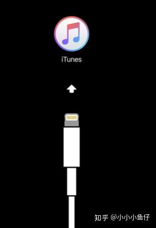 ipad出现itunes数据线游戏截图