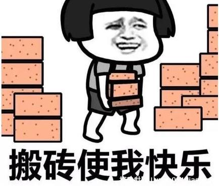 天天搬砖是什么