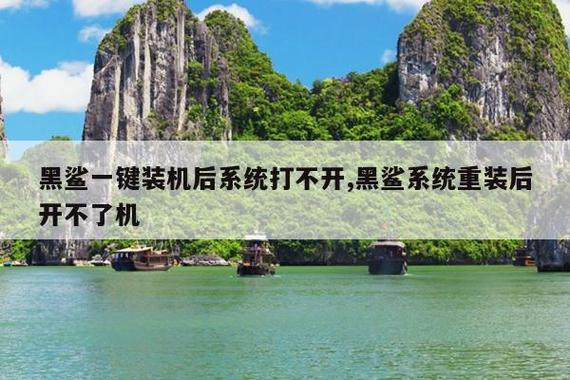 黑鲨重装系统重启黑屏