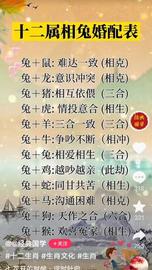 兔兔属相合吗