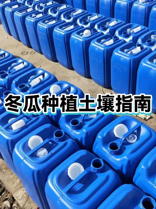 台湾小冬瓜的种植办法游戏截图
