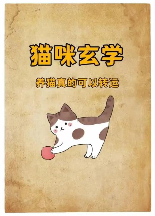 三只猫在玄学中的寓意和象征
