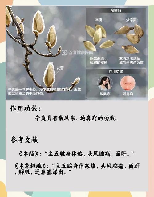 辛夷花一天最大用量