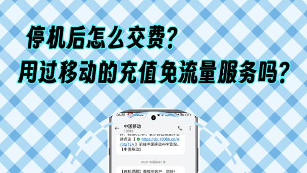 免流量还计入流量吗