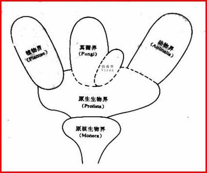 六界分类