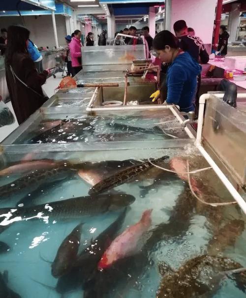 水产批发市场进货渠道缩略图