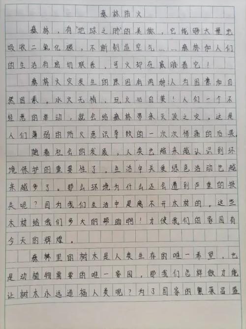 作文免费可抄600字