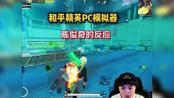 和平精英上瘾有多可怕截图