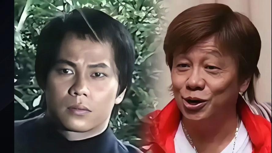 梁小龙版陈真第十二集