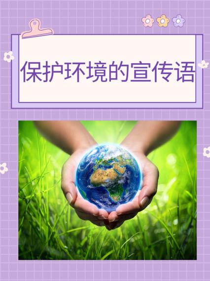 小草之家回家的路