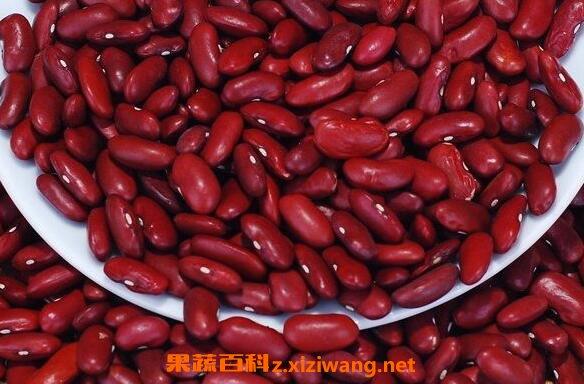 三种人不宜吃红芸豆