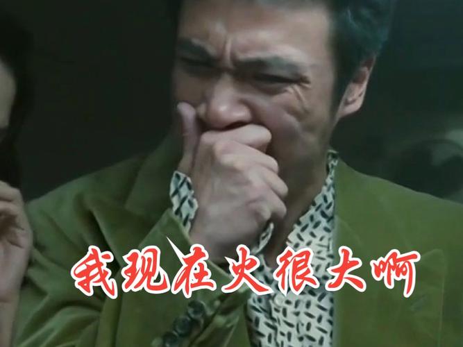 我怎么就火了呢百度百科